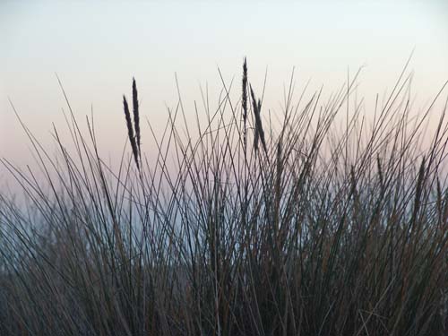 Cotentin-Normandie-France