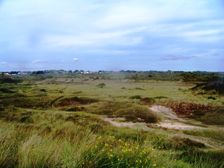 Salines