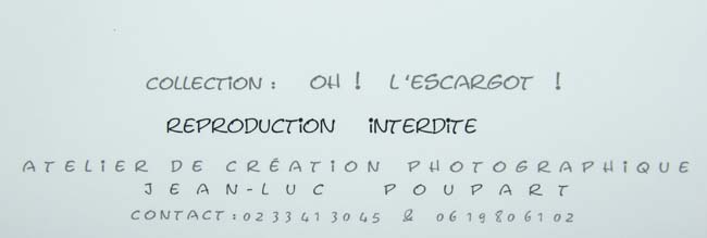 Jean-Luc Poupart